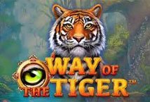 Way of the Tiger slot